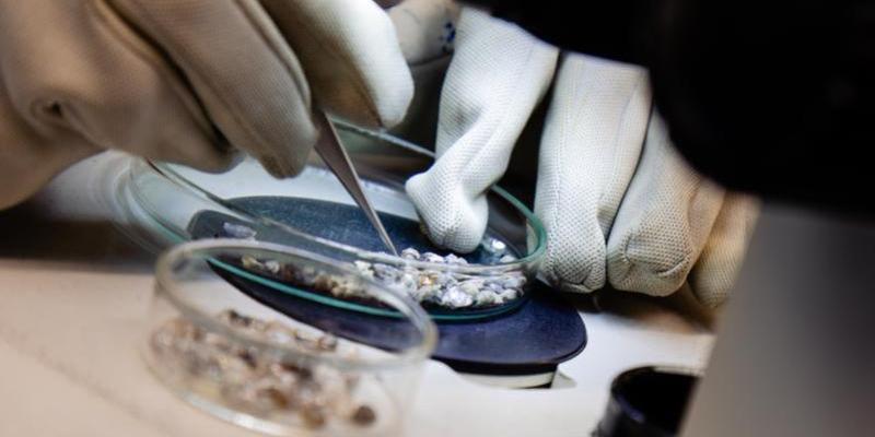 hand sorting diamonds at src