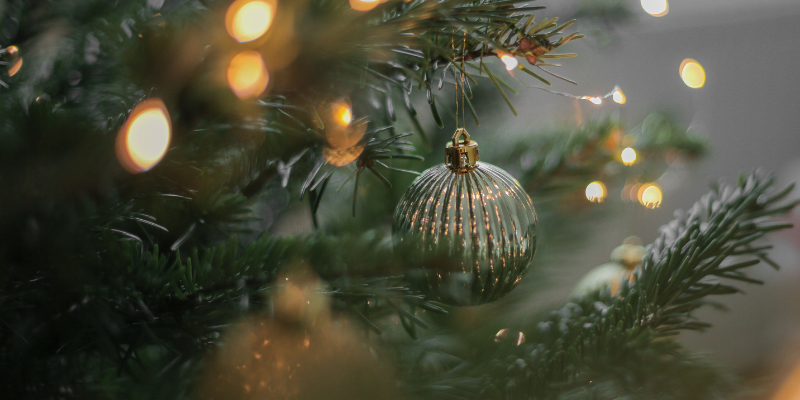 photo of christmas tree branch with ornament